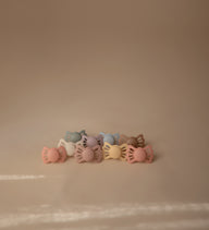 FRIGG Lucky 2-Pack Pacifiers